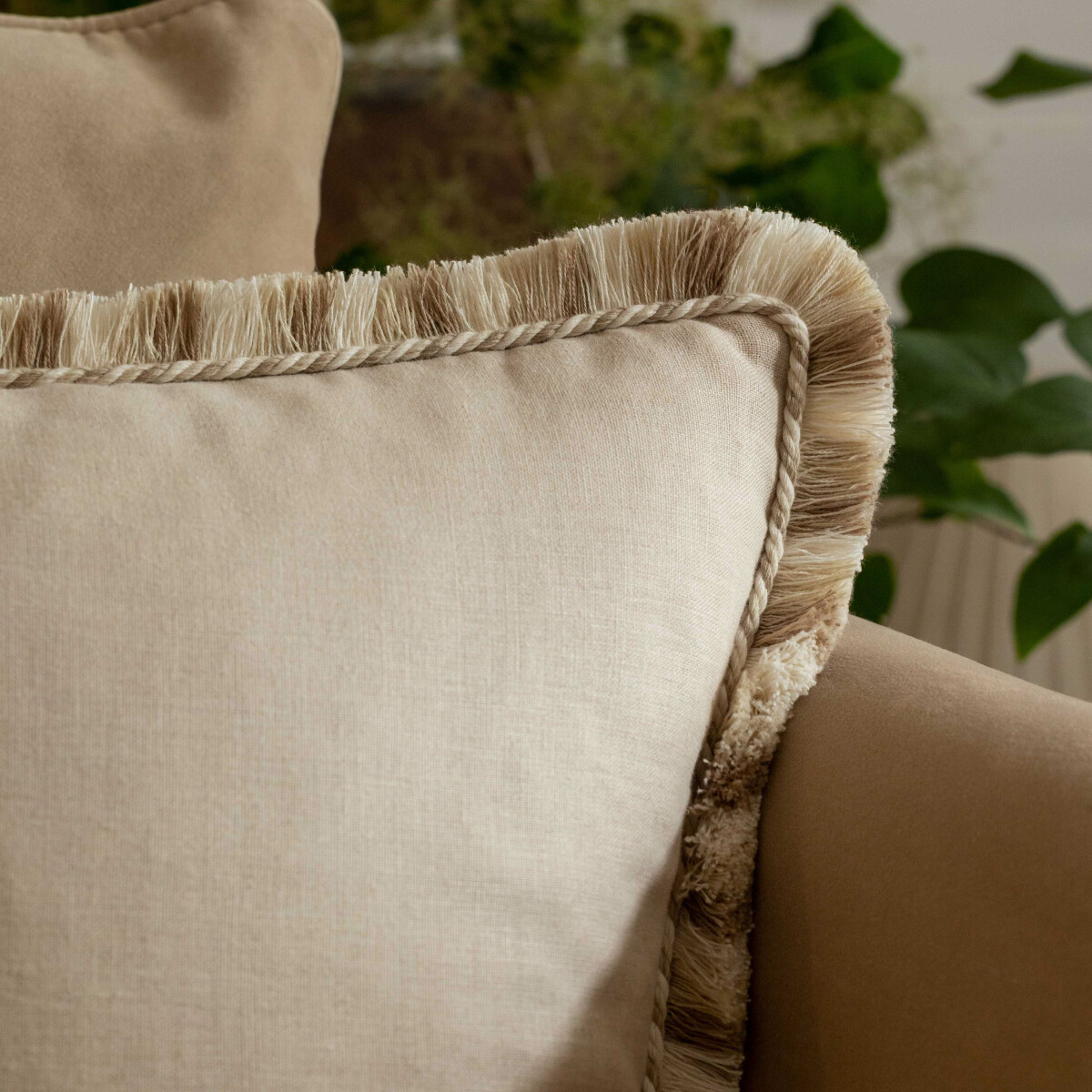 DORSET BLOCKED BRUSH FRINGE - HONEY - Samuel and Sons